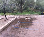 The tent puddle at Tortilla Lake campground - the blue lines is where we dragged the tent...: by margitpirsch, Views[150]