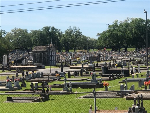 Some areas had more dead people than alive it seemed.