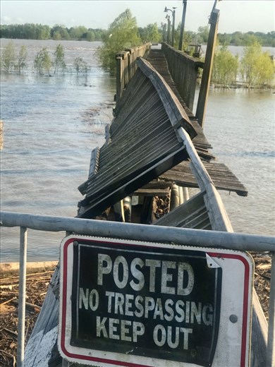 At the levee of the Mississippi. 