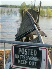 At the levee of the Mississippi. : by margitpirsch, Views[887]