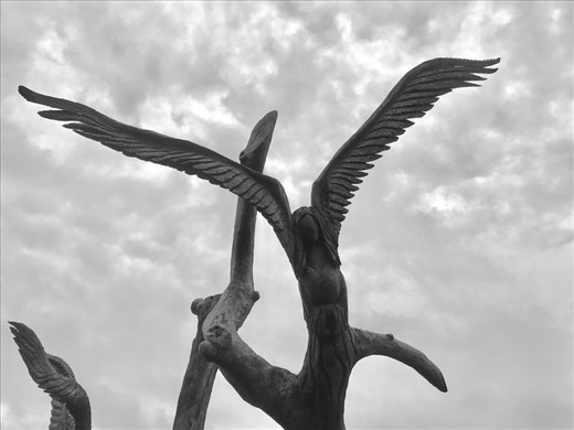 There is a story to that tree...check the next picture!