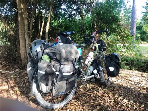 ...a little hitchhiker called...