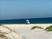 More peninsulas in Mississippi.: by margitpirsch, Views[149]