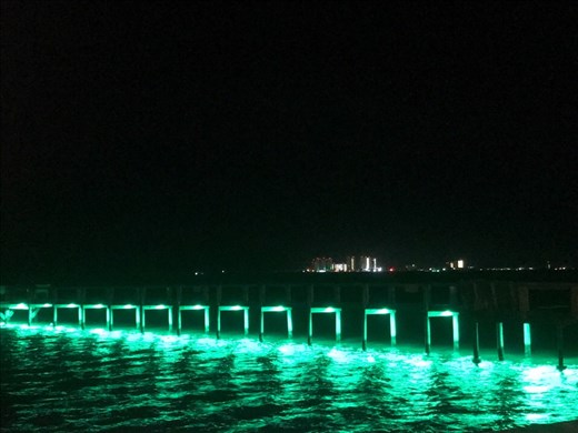 Expensive, but beautiful little campground where I finally got to go in the warm water of the Gulf.