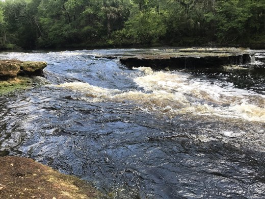 Rivers in Florida