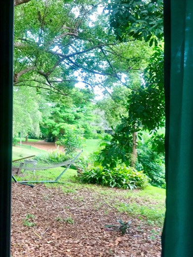 View from our little cottage in Sarasota.