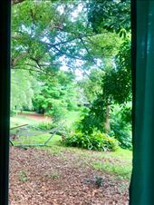 View from our little cottage in Sarasota.: by margitpirsch, Views[845]