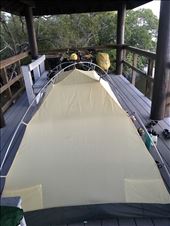 by margitpirsch, Views[136]