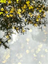 Can you figure this one out?: by margitpirsch, Views[118]