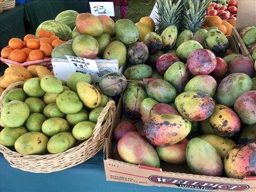 Mango festival in Key West 