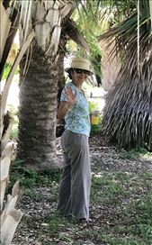 Beti amongst the palms: by margitpirsch, Views[131]