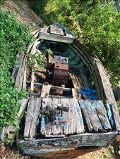 by margitpirsch, Views[180]