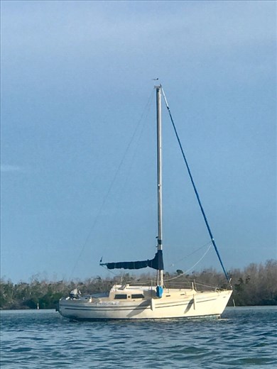 Stranded/abandoned sail boat - John said we can have it....