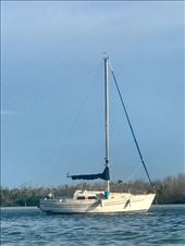 Stranded/abandoned sail boat - John said we can have it....: by margitpirsch, Views[384]