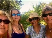 Women’s outing to the Mango Festival and the Botanical Gardens.: by margitpirsch, Views[359]