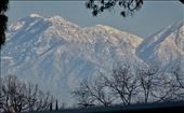 Nope, not the Alps.....the mountains behind Los Angeles, CA: by margitpirsch, Views[361]