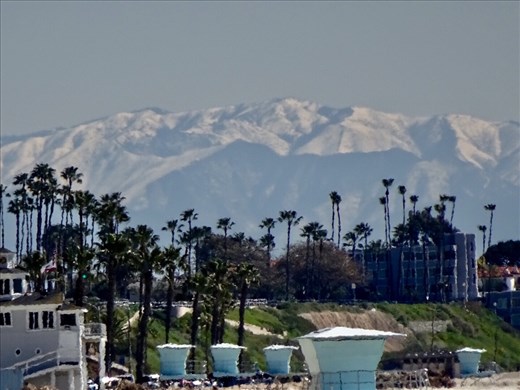 Palm trees, ocean, mountains and snow in CA