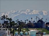 Palm trees, ocean, mountains and snow in CA: by margitpirsch, Views[366]