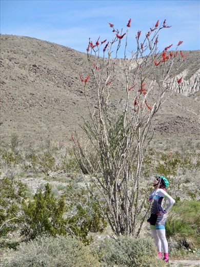 Margie admiring a blooming cactus.