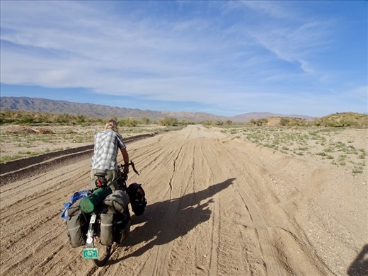 Box Canyon Rd (Desert Center)