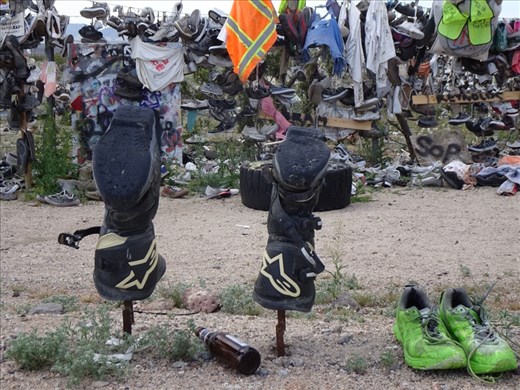 Surprise in the desert