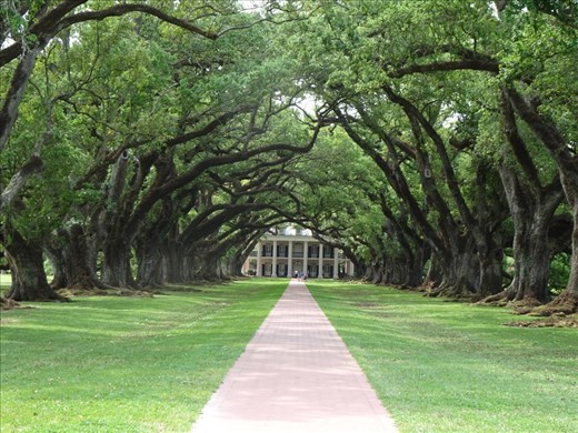 Oak Alley Plantation.