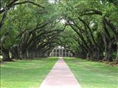 Oak Alley Plantation.: by margitpirsch, Views[144]