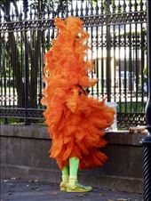 by margitpirsch, Views[128]