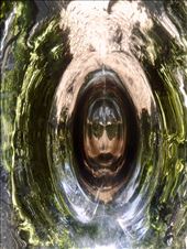 by margitpirsch, Views[133]