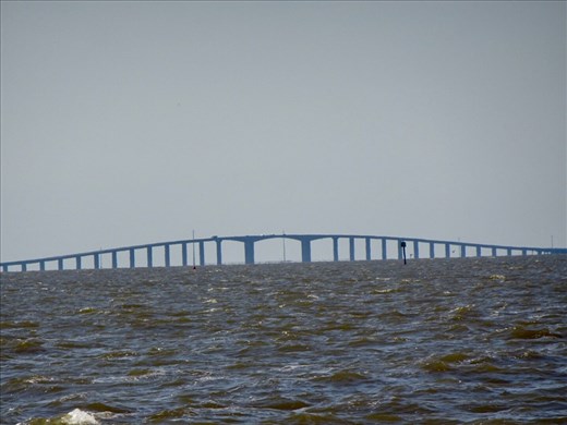 ...and then taking the ferry watching the dolphins.