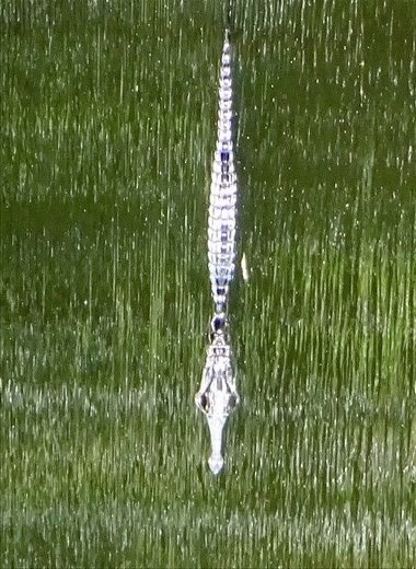 Any guesses what this is??
Solution at the end of the story.