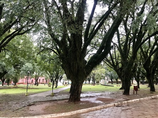 ....wet and beautiful.