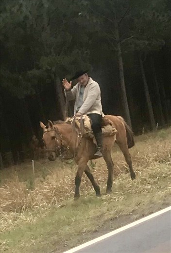 Friendly Argentine on a Sunday ride. 