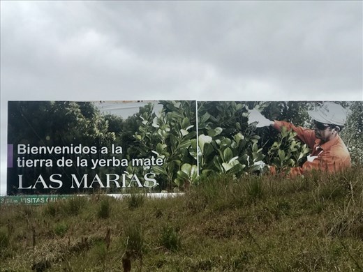 Home of the Yerba Mate!