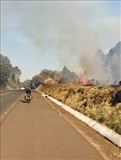 ...and during the day.: by margitpirsch, Views[280]