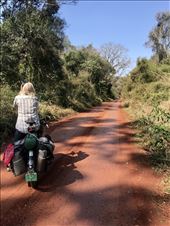 On the road again!: by margitpirsch, Views[215]