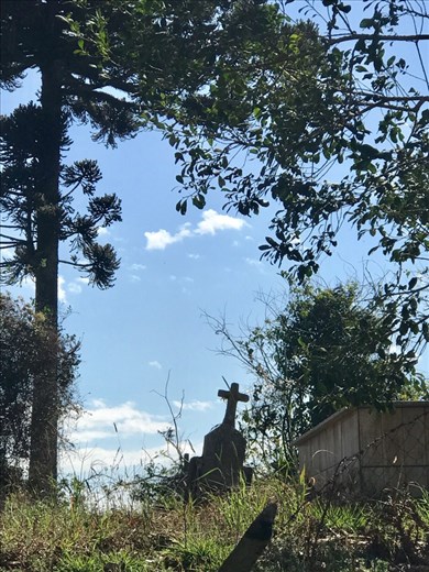 Cemetery - peaceful places..