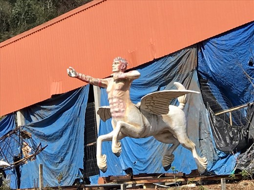 Road side treasures.