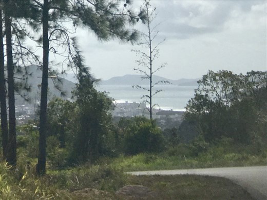 You actually can’t see how super steep the roads are on Celso Ramos peninsula...this is down...