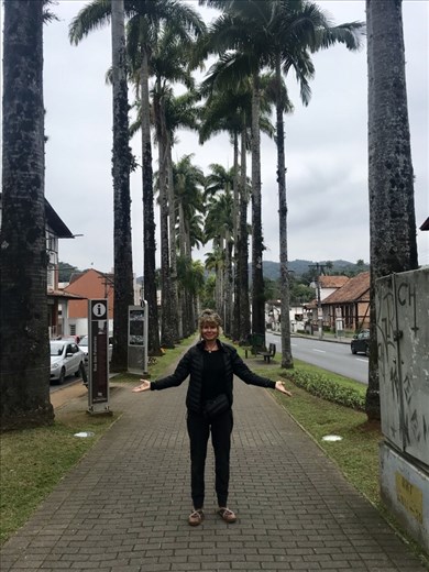 Blumenau - a German town with palm trees.