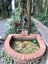 Manneken Piss in the Museum in Blumenau. The garden of the colonial family house of the founder of the town.: by margitpirsch, Views[138]