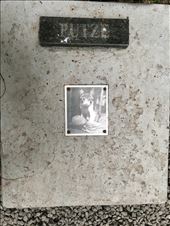 Cat cemetery - when the last member of the Blumenau family died, all her cats were euthanized and buried here. : by margitpirsch, Views[185]