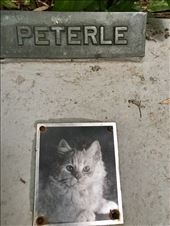 by margitpirsch, Views[135]