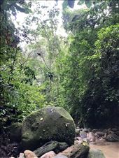 Traipsing through the jungle.: by margitpirsch, Views[92]