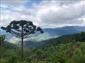 Climbing around in the mountains again!: by margitpirsch, Views[140]