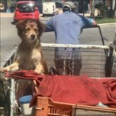 Street scene in Peruíbe.: by margitpirsch, Views[166]