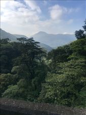 The old way to São Paulo : by margitpirsch, Views[139]