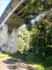 by margitpirsch, Views[117]