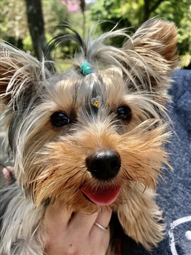 One of São Paulo’s residents.