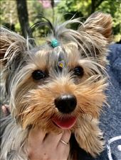 One of São Paulo’s residents.: by margitpirsch, Views[140]